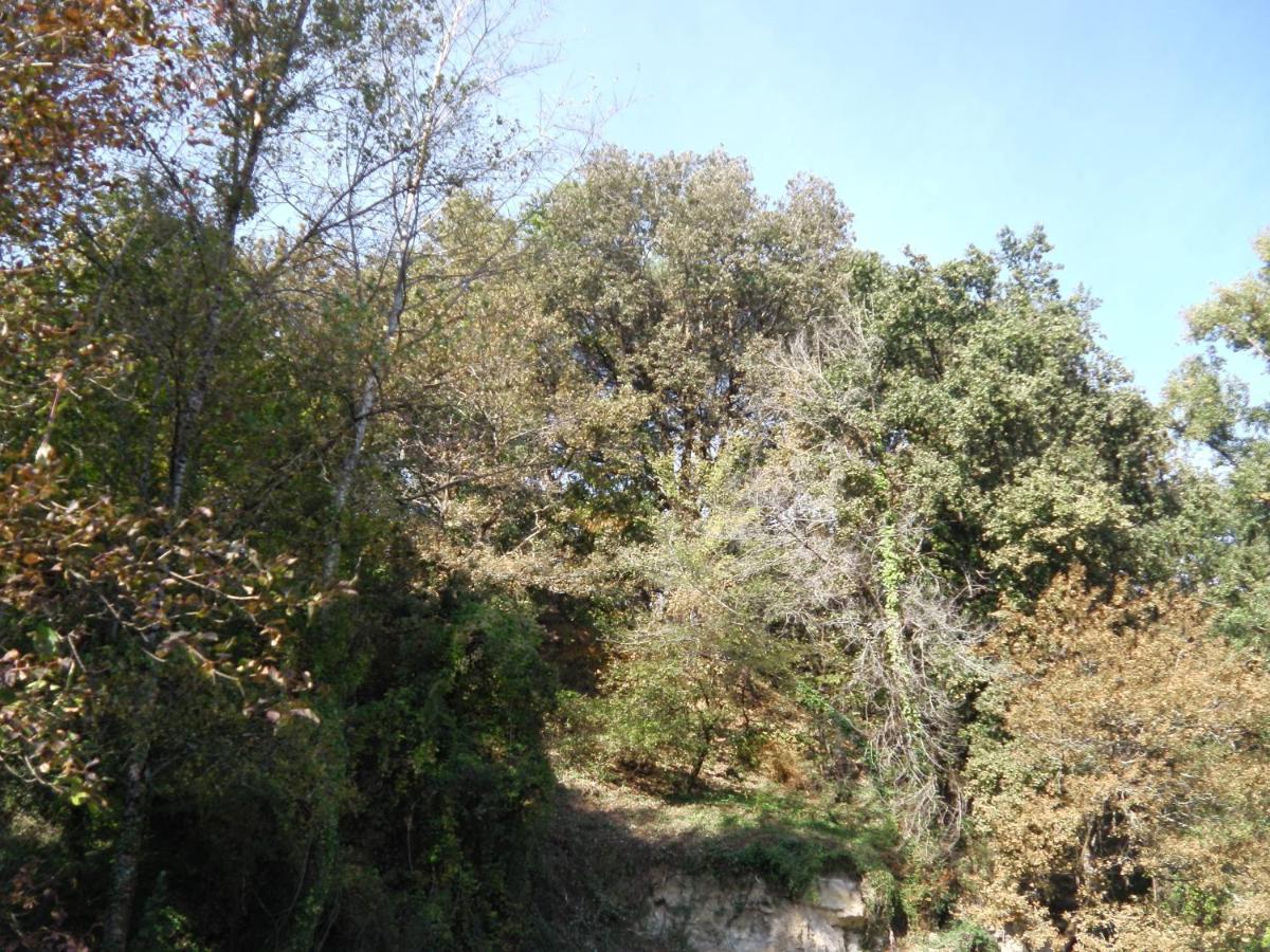Aux Vieux Fours Panzió Noaillac Kültér fotó